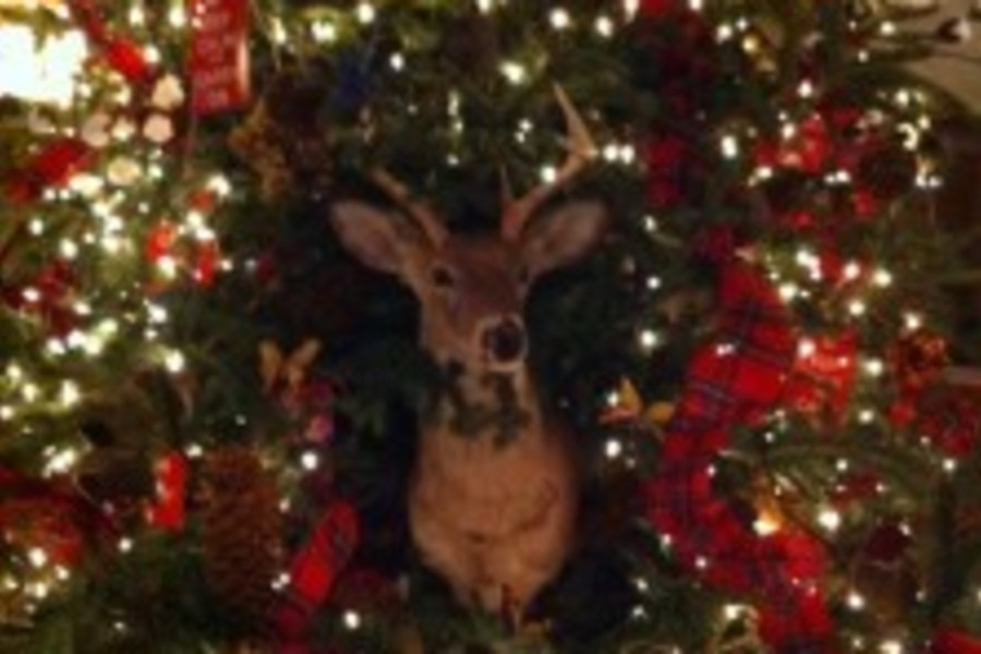 deer-wreath